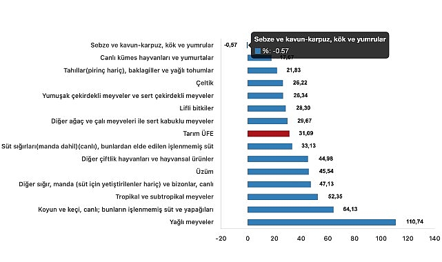 Tüik: Tarım ürünleri üretici fiyat endeksi (Tarım-ÜFE) yıllık %31,09 arttı, aylık %2,00 arttı- Haber Seansı