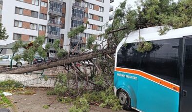 İzmir Büyükşehir Belediyesi 850 personel ve 640 araçla sahada- Haber Seansı