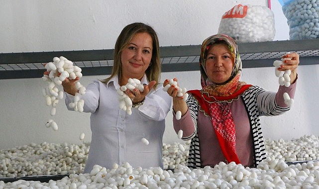 Sapadere İpek Evi’nde eğitim kursları başladı- Haber Seansı