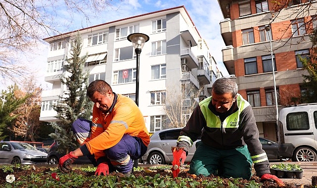 Çankaya parkları çiçek açıyor- Haber Seansı