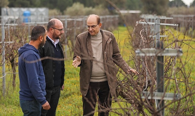 Buca’nın lezzetli  razakı üzümü coğrafi işaret almaya hazırlanıyor- Haber Seansı