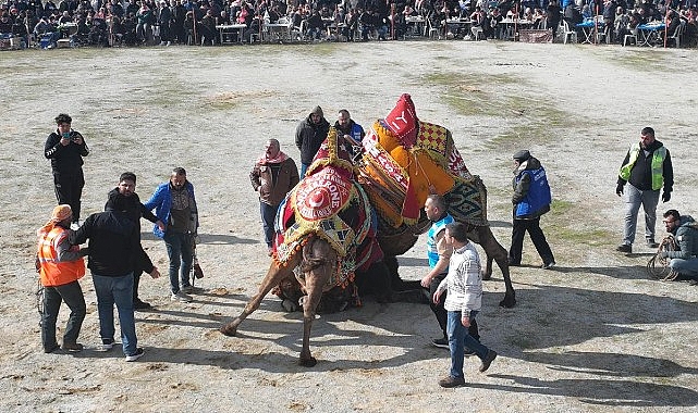 Burhaniye’de Hasat Festivali İçin Geri Sayım Başladı- Haber Seansı