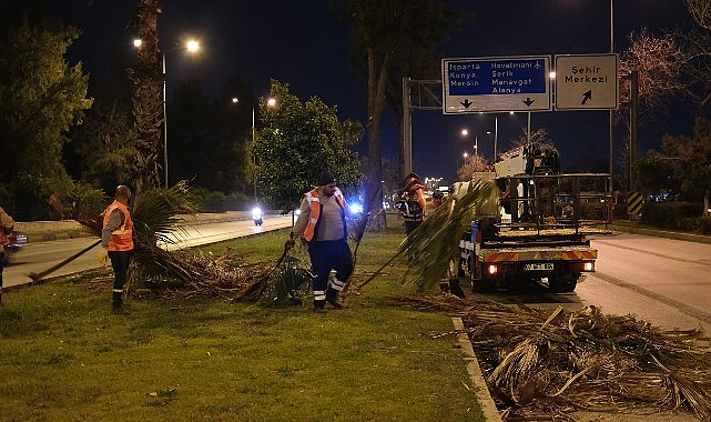 Büyükşehir’den gece budama çalışması- Haber Seansı