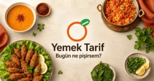 İşe Götürülen Öğle Yemeğinde Doku ve Taşıma Düzeni